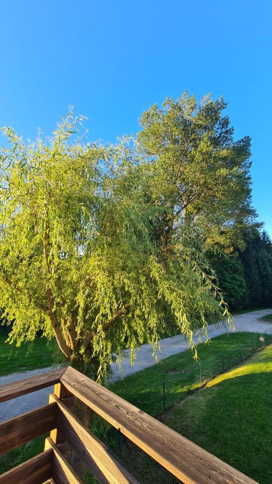 Sous Le Saule Apartment Nods ภายนอก รูปภาพ