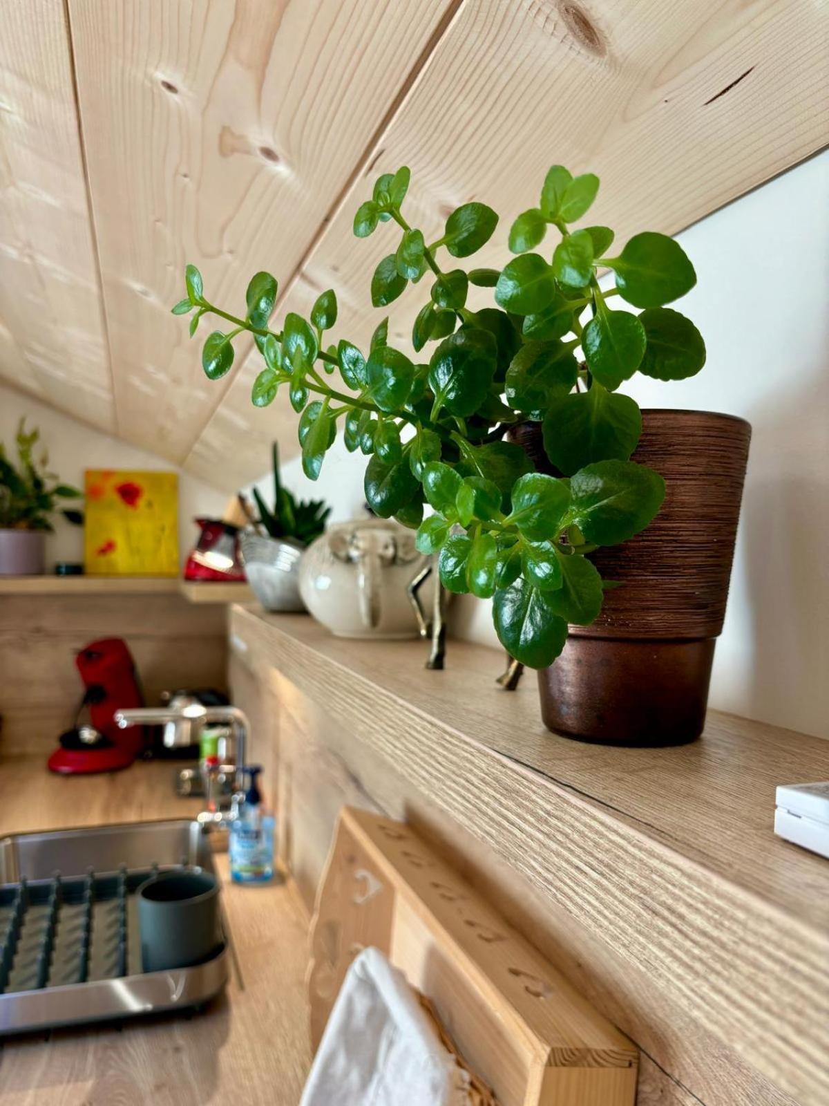 Sous Le Saule Apartment Nods ภายนอก รูปภาพ